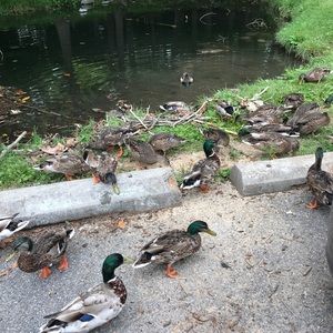 Meet your Posher, Bethany